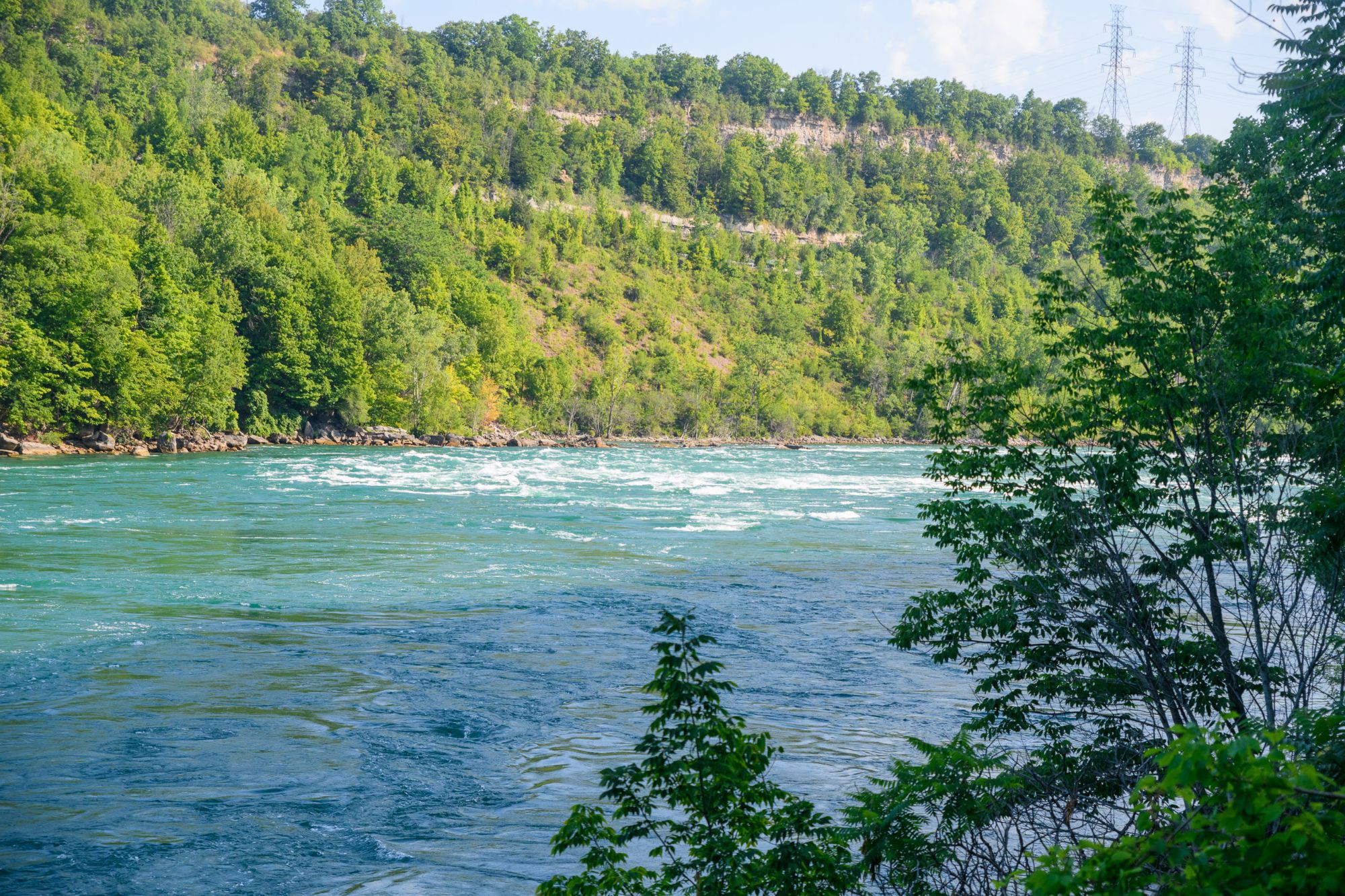 Gorge Trail, Falls, Jet Boat  (6 of 55)